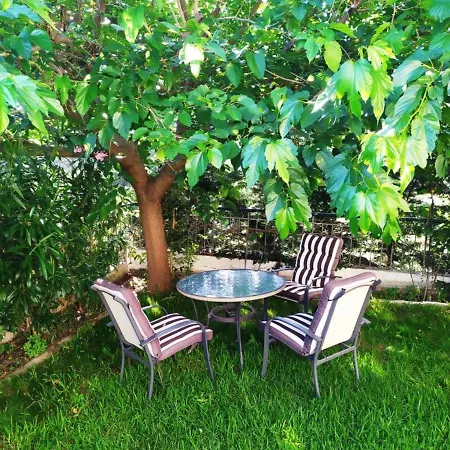 House With Garden Netflix Villa Nea Kerasia Exterior photo